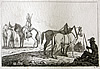 Cotta - Tafel 29