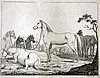 Cotta - Tafel 3