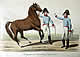 &Ouml;sterreichische Armee 1820 - Tafel 18