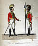 &Ouml;sterreichische Armee 1820 - Tafel 30