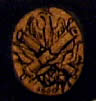 Emblem IR2
