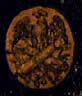 Emblem IR23