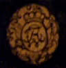 Emblem IR7