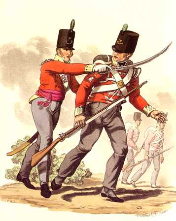 Englische Infanterie 1812 nach Hamilton Smith