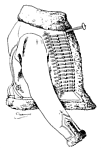 Gardejäger Pelisse