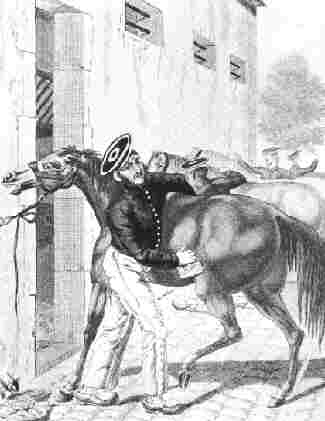 Striegeln der Pferde (Gravur von Martinet)