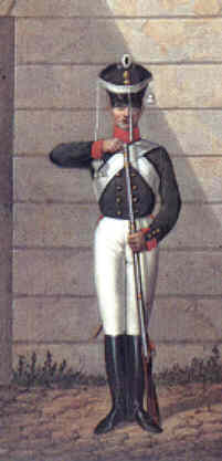 Russische Infanterie 1812 (nach Viskovatov)
